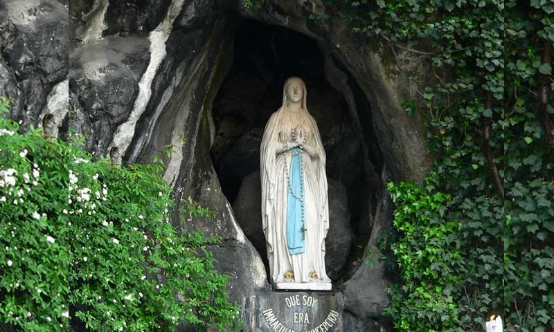 Lourdes pilgrims recall life-changing miracle moments - Catholic ...