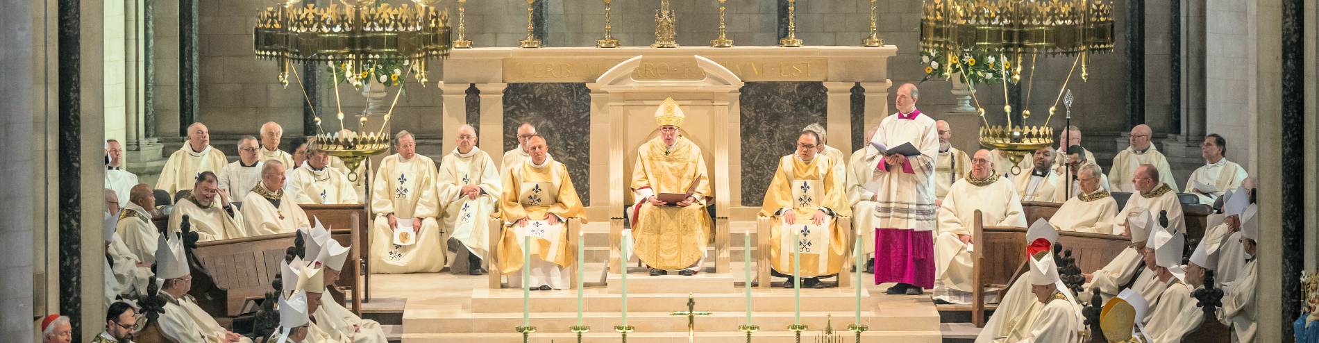 Bishop Peter Collins - Catholic Diocese Of East Anglia